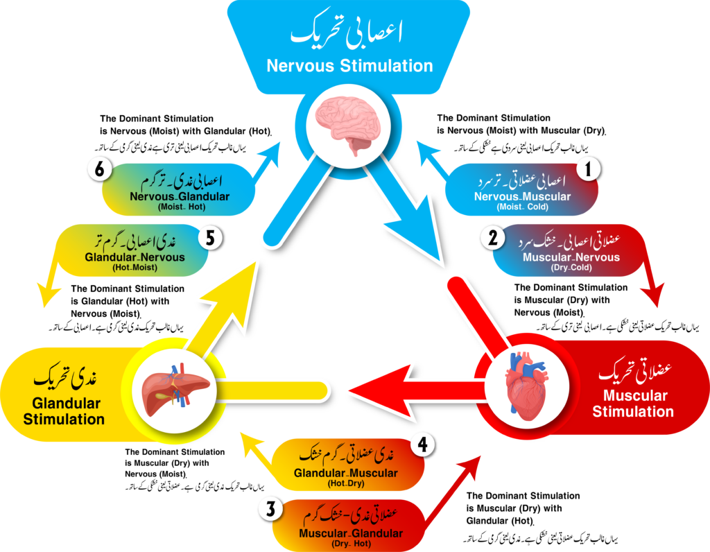 sot six stimulation chart